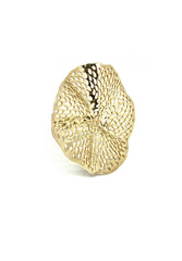 CHLOE'S AUNT RING